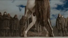 6ac50968775664.20366599.gif