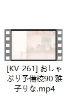 [自行打包] KV-261，266 [3V+7.9G][百度盘]